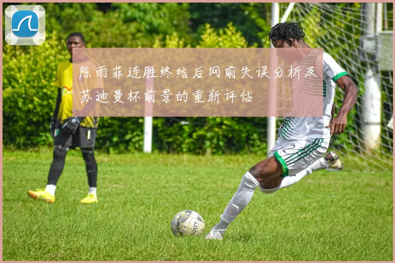 陈雨菲连胜终结后网前失误分析及苏迪曼杯前景的重新评估